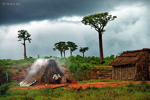 050102-1460.jpg