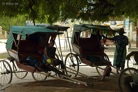 050103-1475.jpg