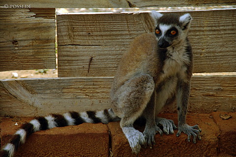 050104-1477.jpg