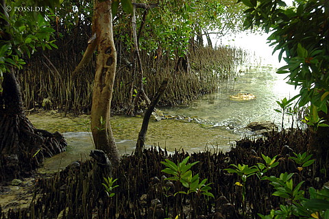 050104-1501.jpg
