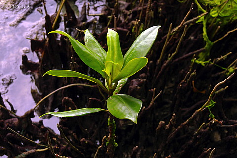 050104-1502.jpg