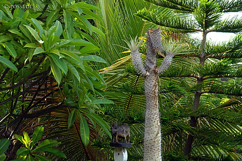 050105-1525.jpg