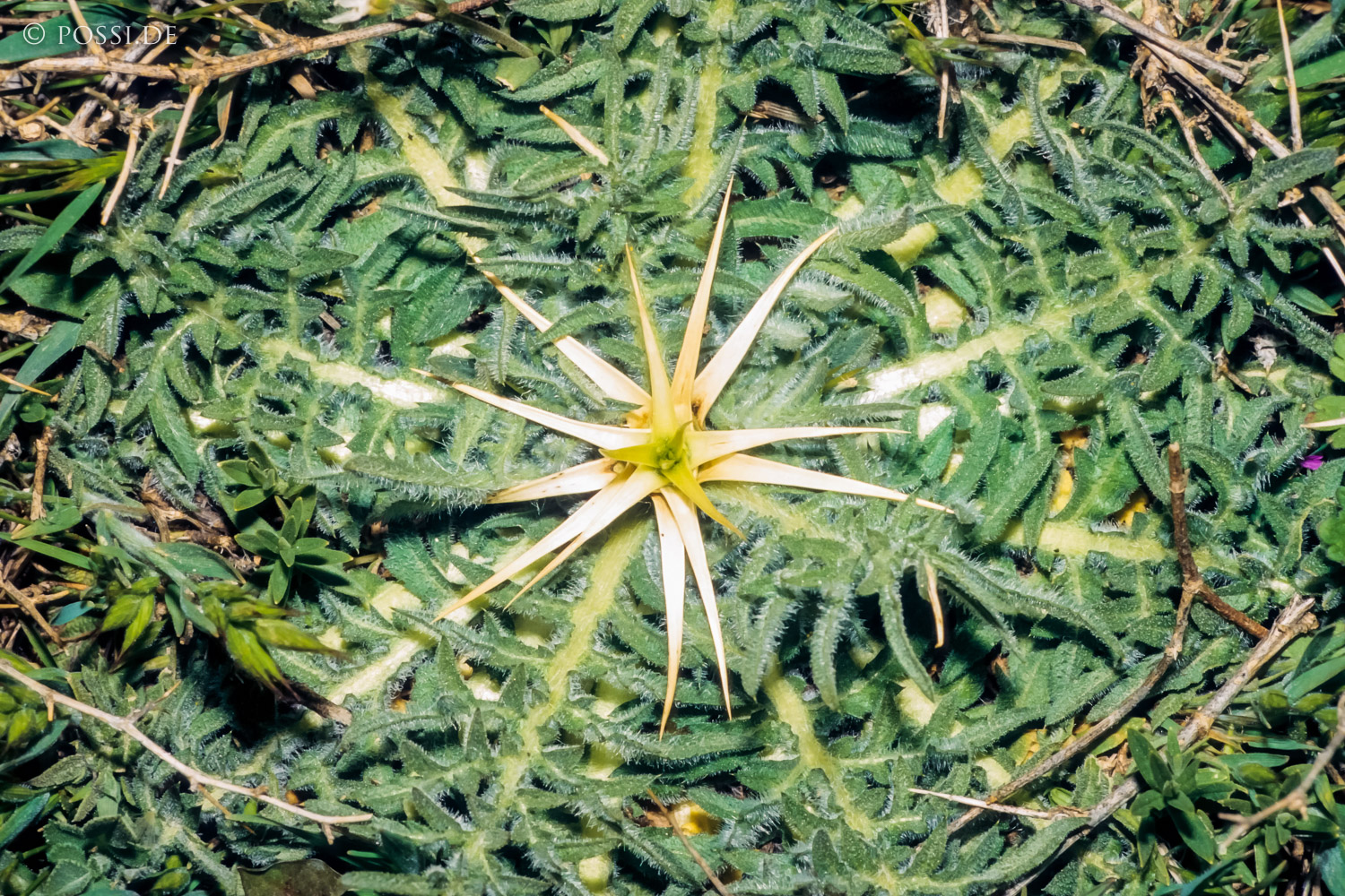 080720-0243.jpg