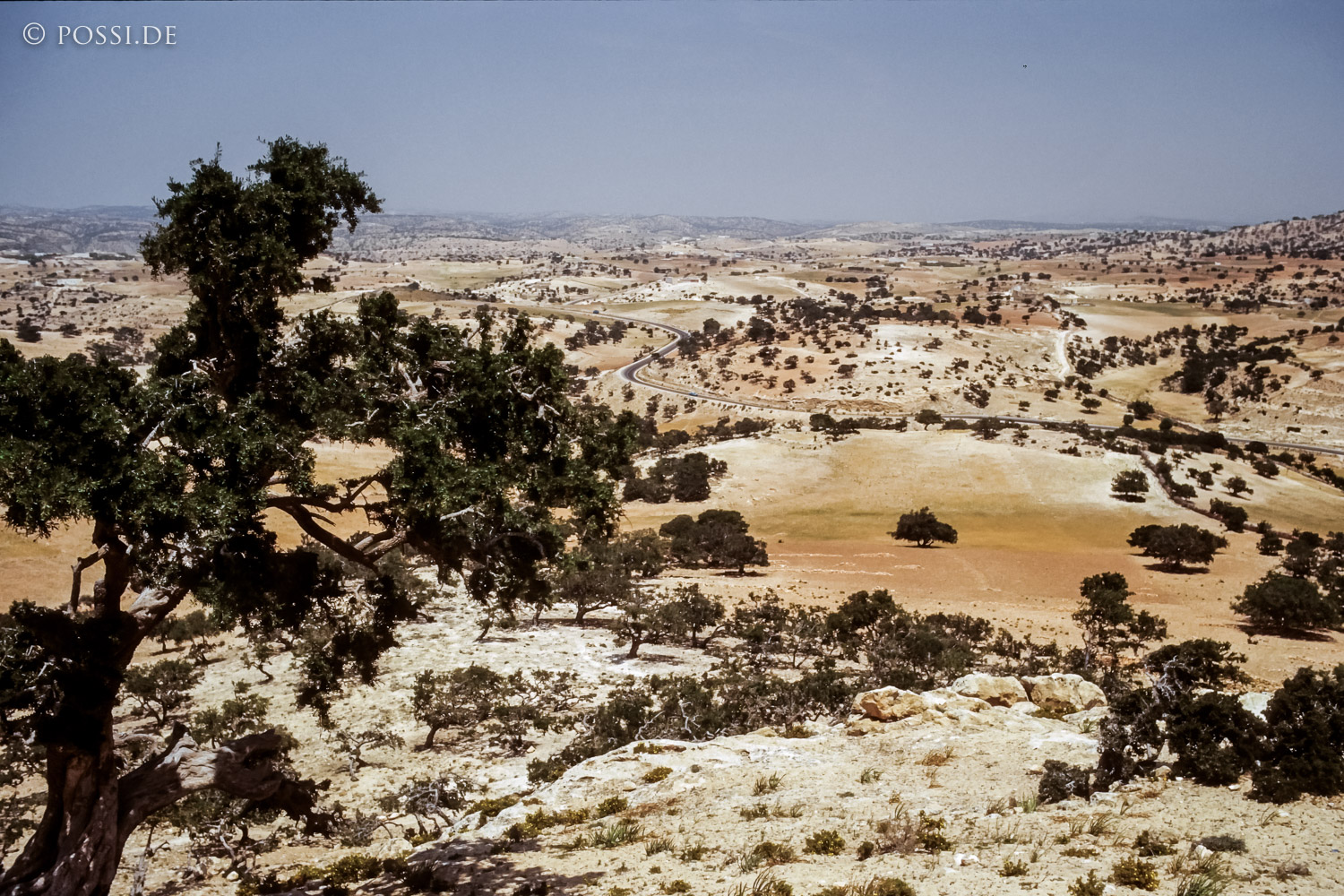 080721-0312.jpg