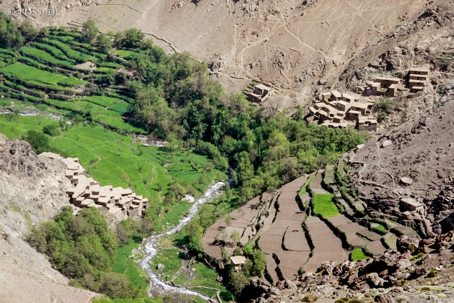081010-0357.jpg