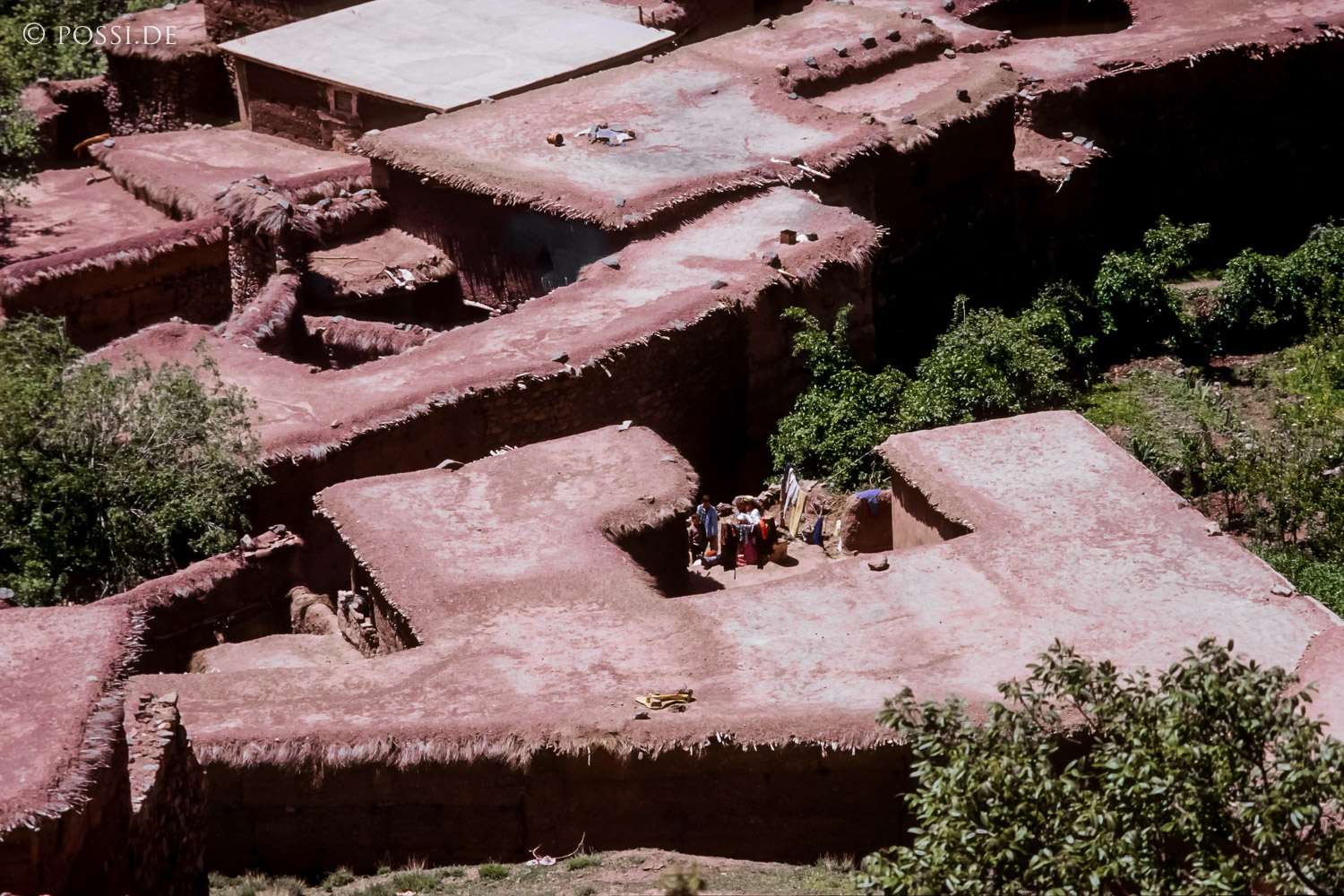 081010-0364.jpg