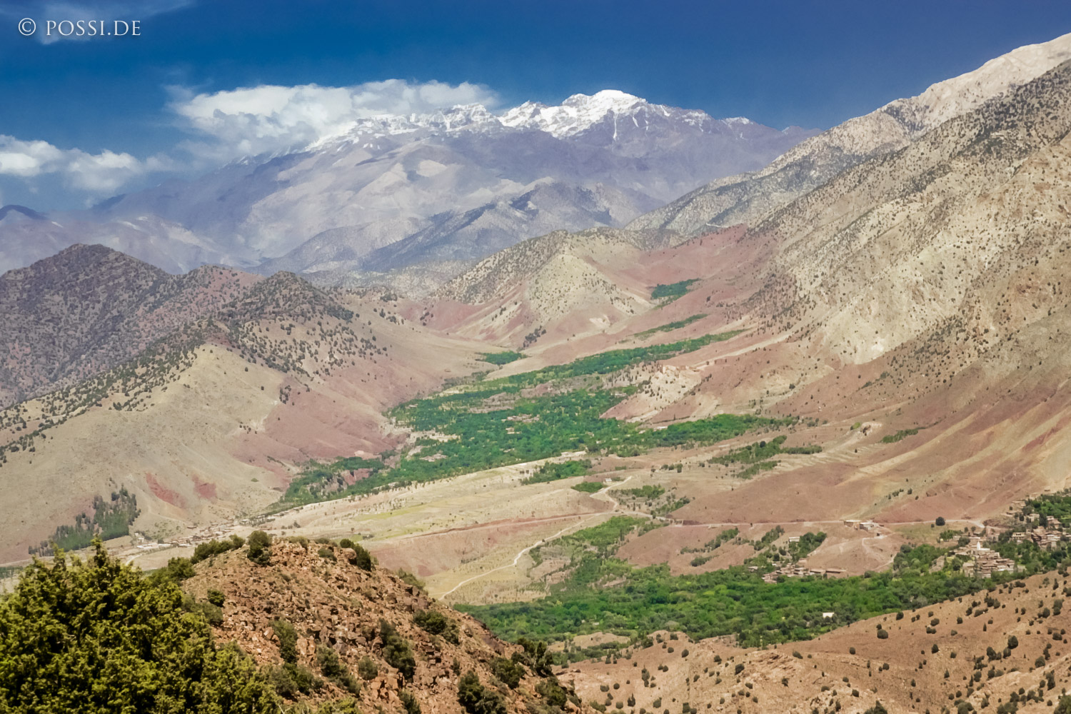 081010-0369.jpg