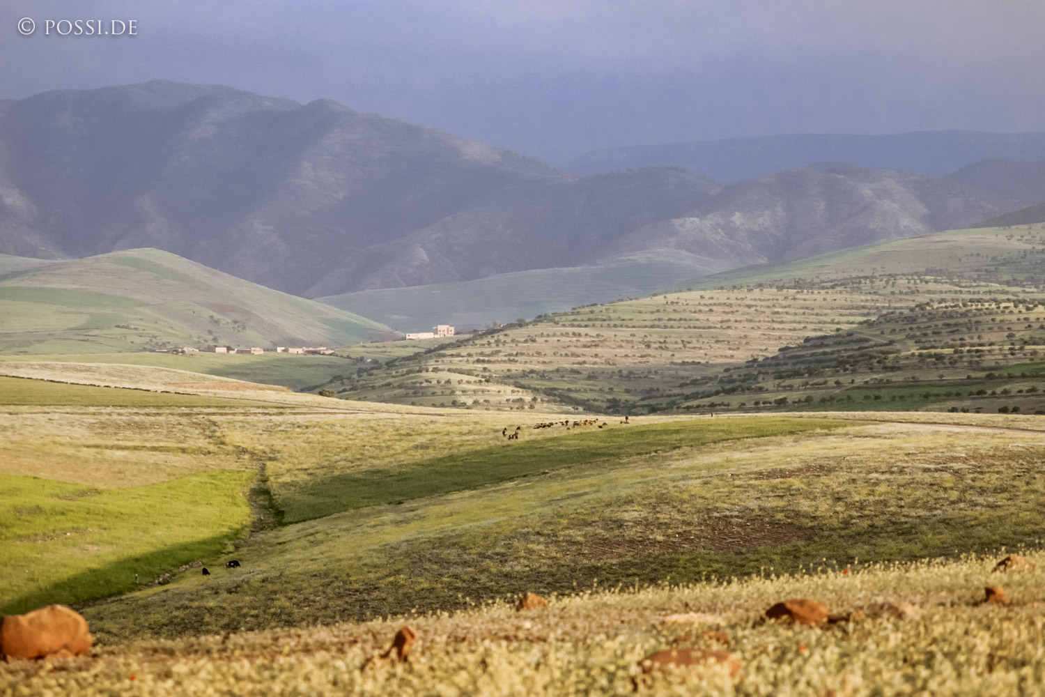 081010-0380.jpg