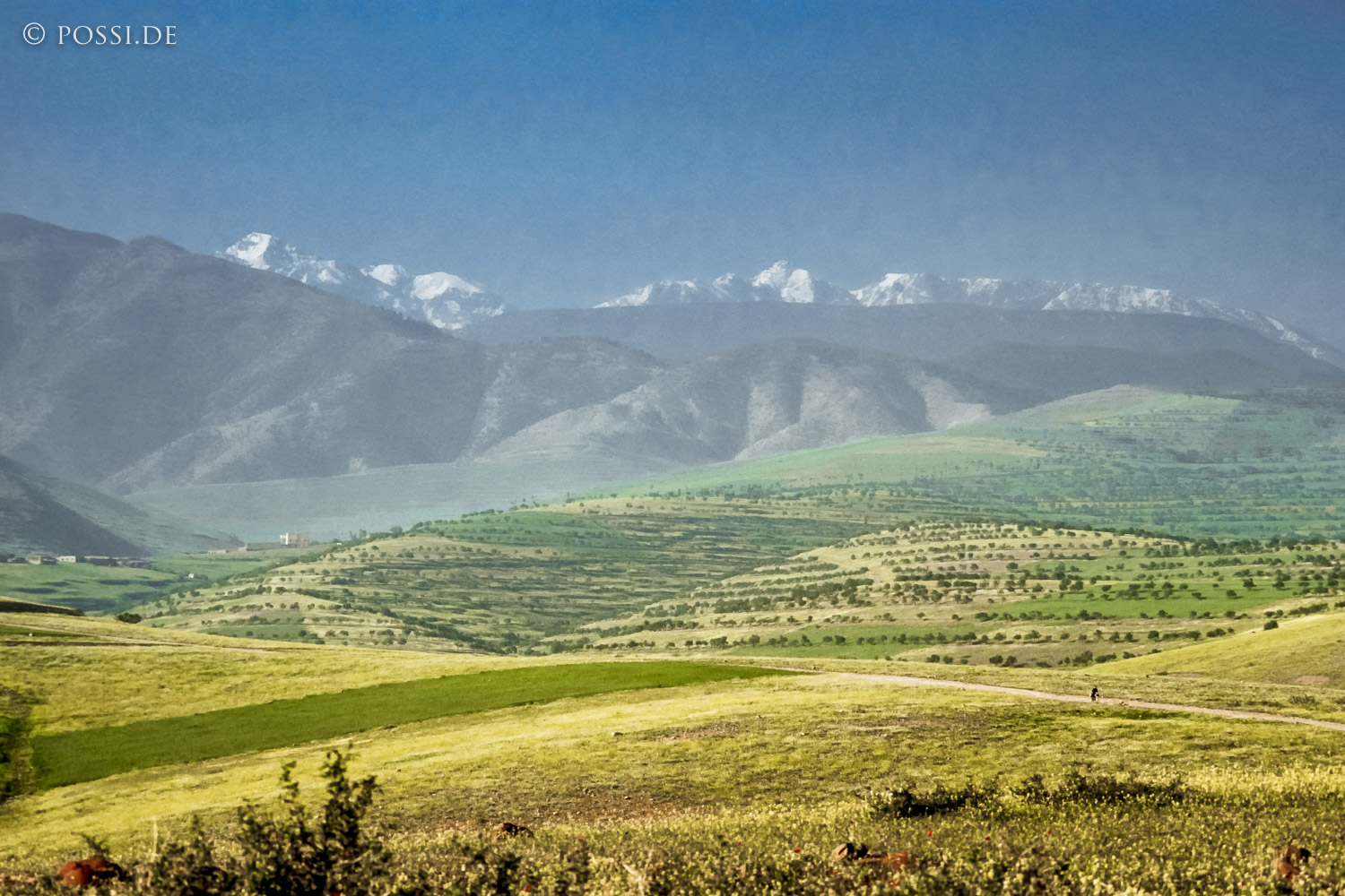 081010-0384.jpg