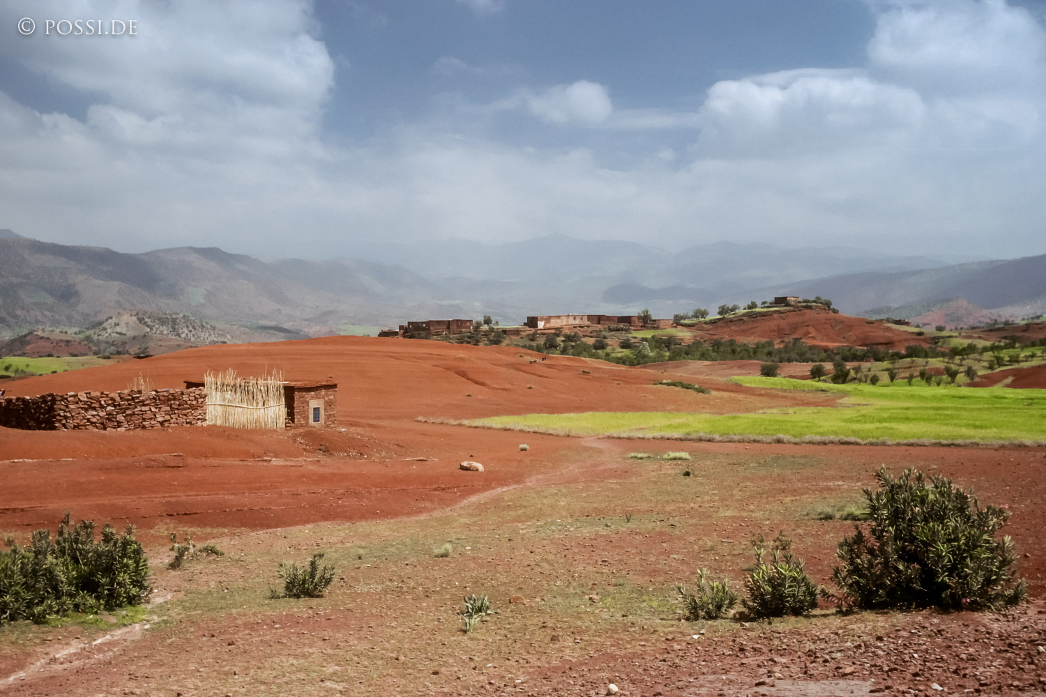 081010-0391.jpg