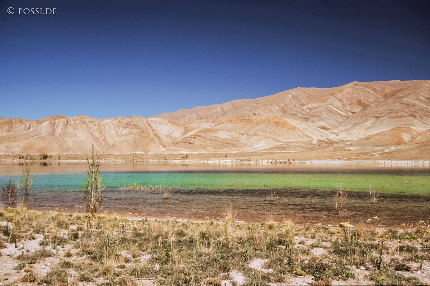 081030-0440.jpg