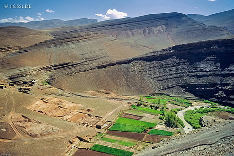 080719-0185.jpg