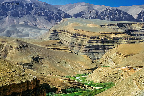 080719-0190.jpg