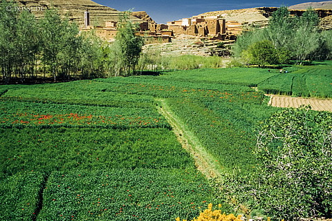 080719-0192.jpg