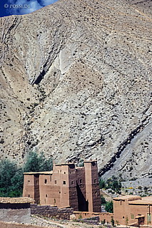 080719-0193.jpg