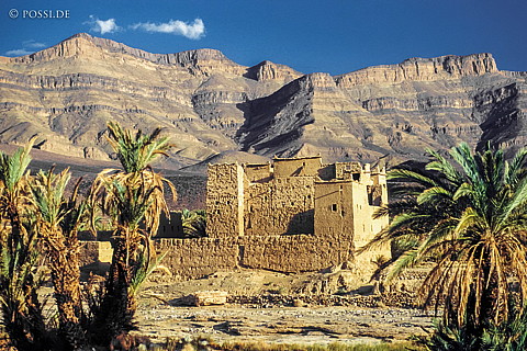 080720-0209.jpg