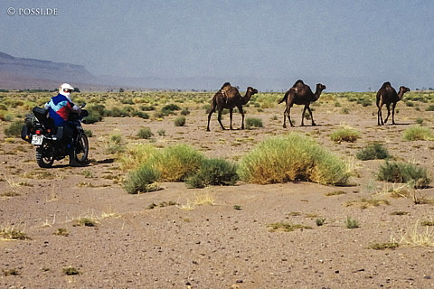 080720-0213.jpg