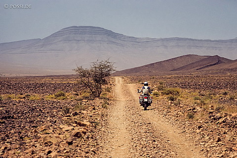 080720-0217.jpg