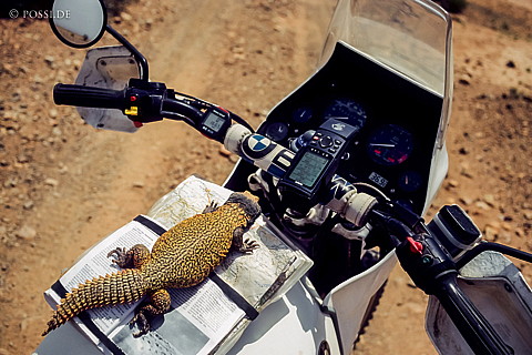 080720-0219.jpg