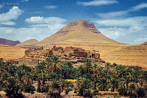 080720-0221.jpg