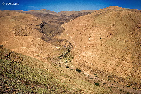 080720-0222.jpg