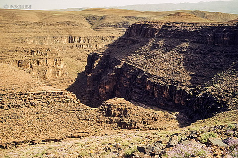 080720-0223.jpg
