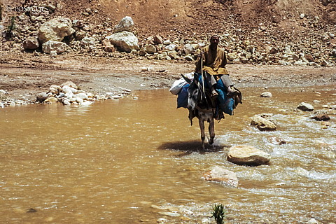080720-0230.jpg