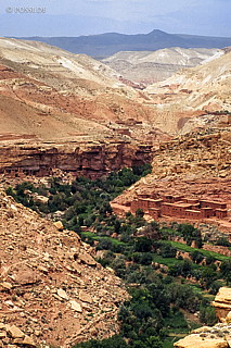 080720-0232.jpg