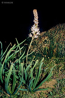 080720-0240.jpg