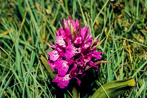 080720-0241.jpg