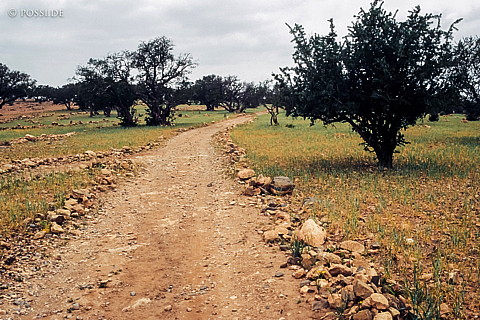 080720-0249.jpg