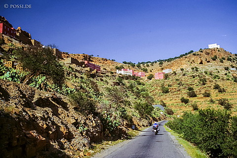 080721-0251.jpg