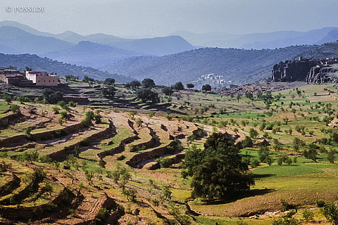 080721-0253.jpg