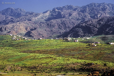 080721-0255.jpg