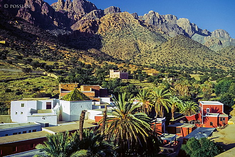 080721-0260.jpg