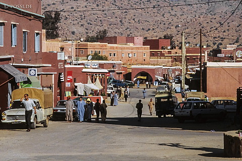 080721-0264.jpg