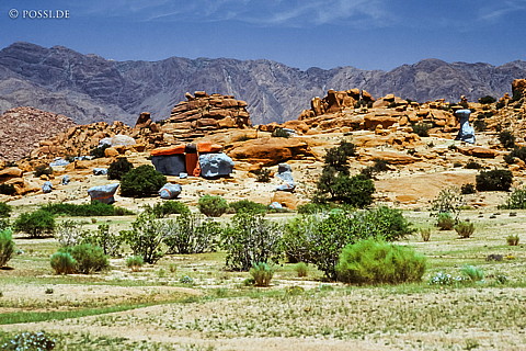 080721-0291.jpg