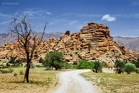 080721-0292.jpg