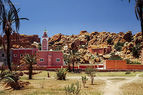 080721-0296.jpg