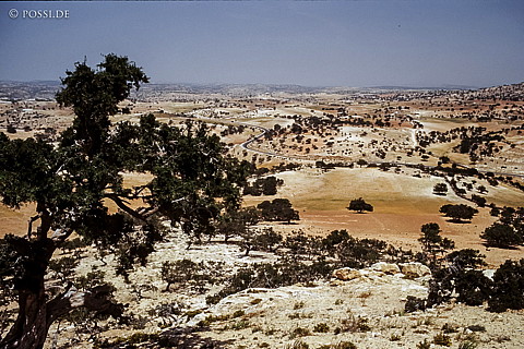 080721-0312.jpg