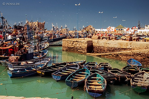 080721-0319.jpg