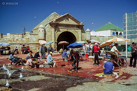 080721-0321.jpg