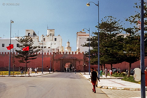 080721-0323.jpg