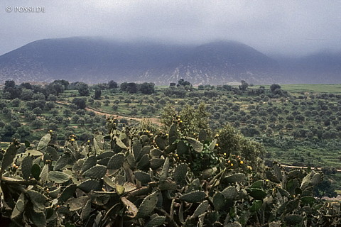 080721-0339.jpg