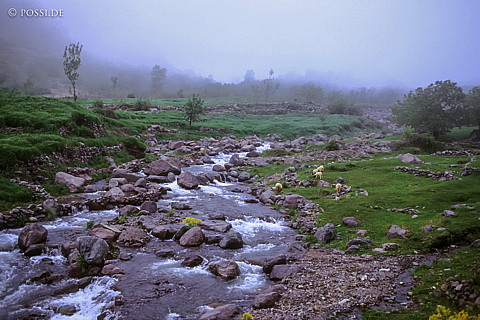 080721-0343.jpg
