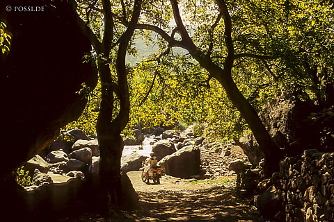 081010-0353.jpg