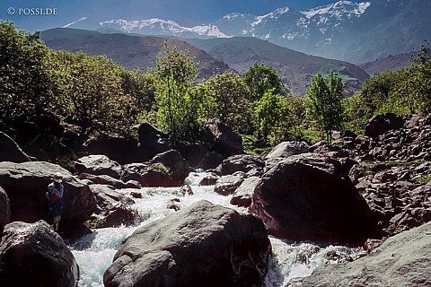 081010-0354.jpg