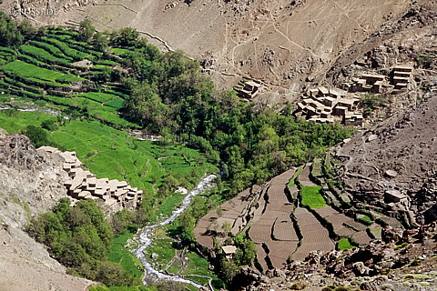 081010-0357.jpg