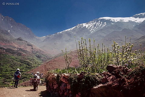 081010-0358.jpg
