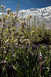 081010-0359.jpg